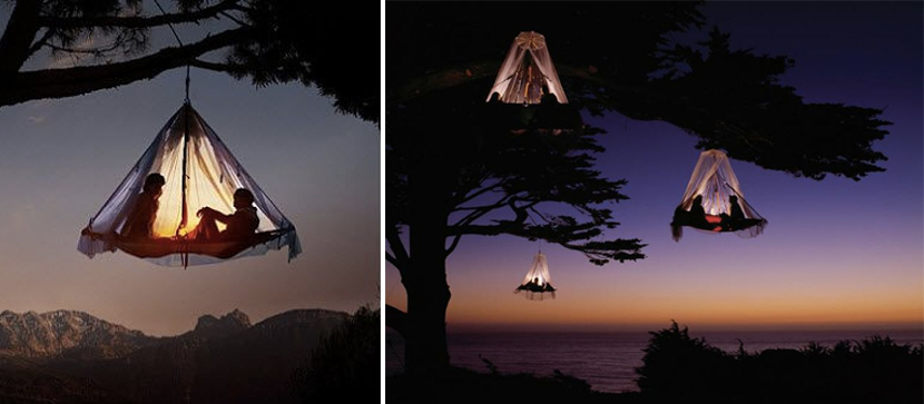 tree-camping